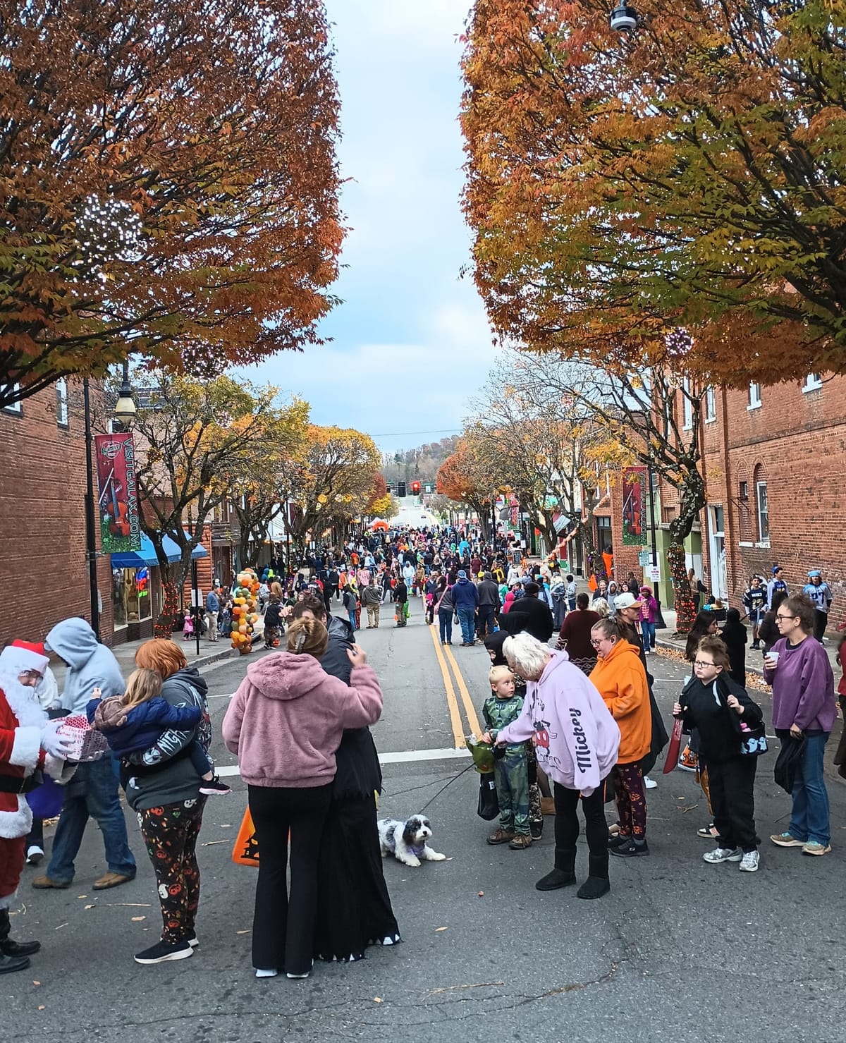 Halloween '25 Crowded With Lions, Tigers, and...