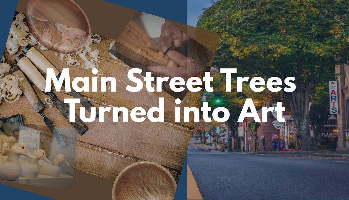 Area Woodworkers - Part 1