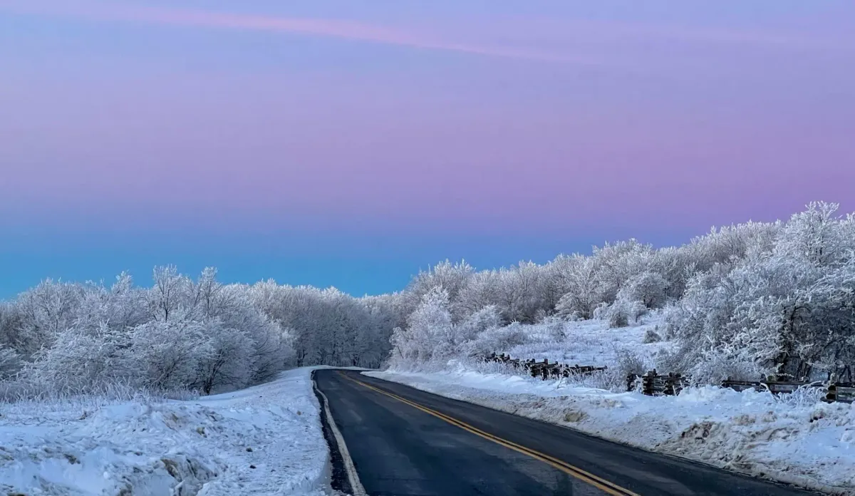 Winter Naturalist Rally Saturday February 21