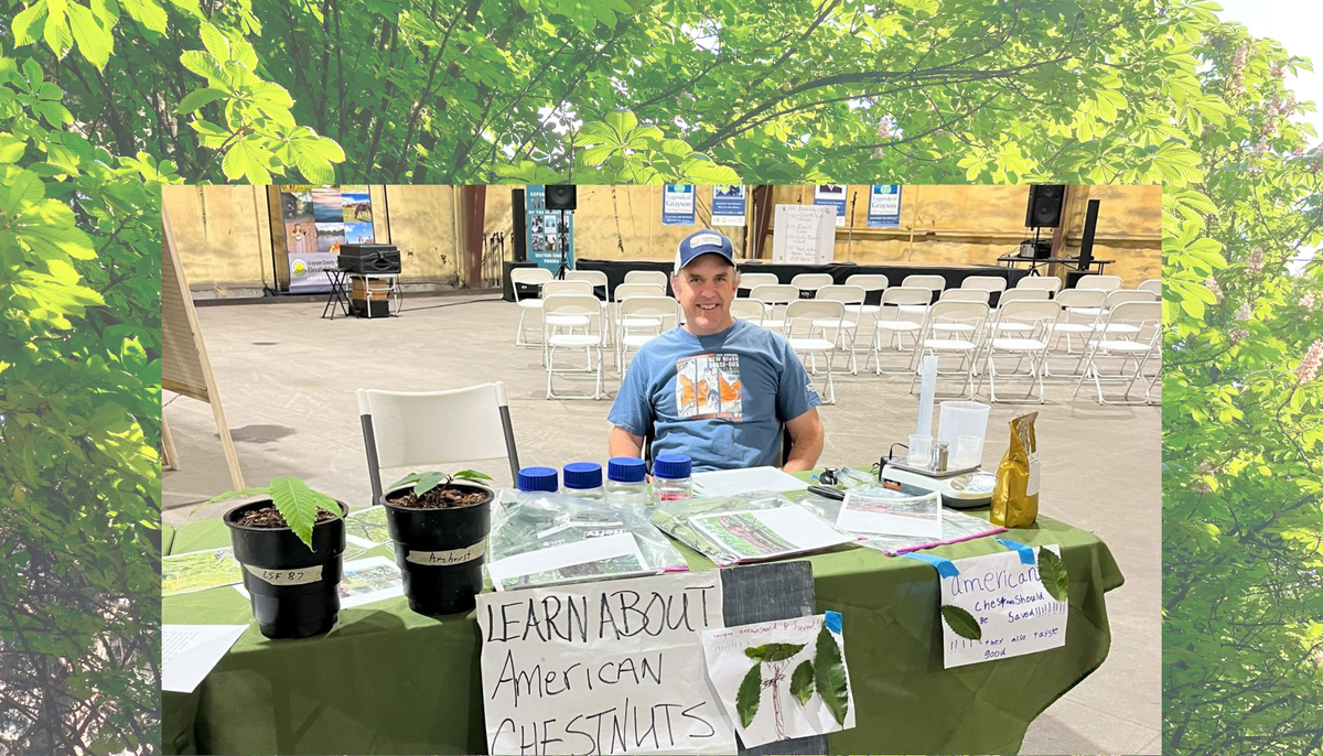 Are You Interested in Restoring American Chestnut Trees?
