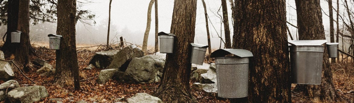 Maple Syrup Festival March 28 & 29