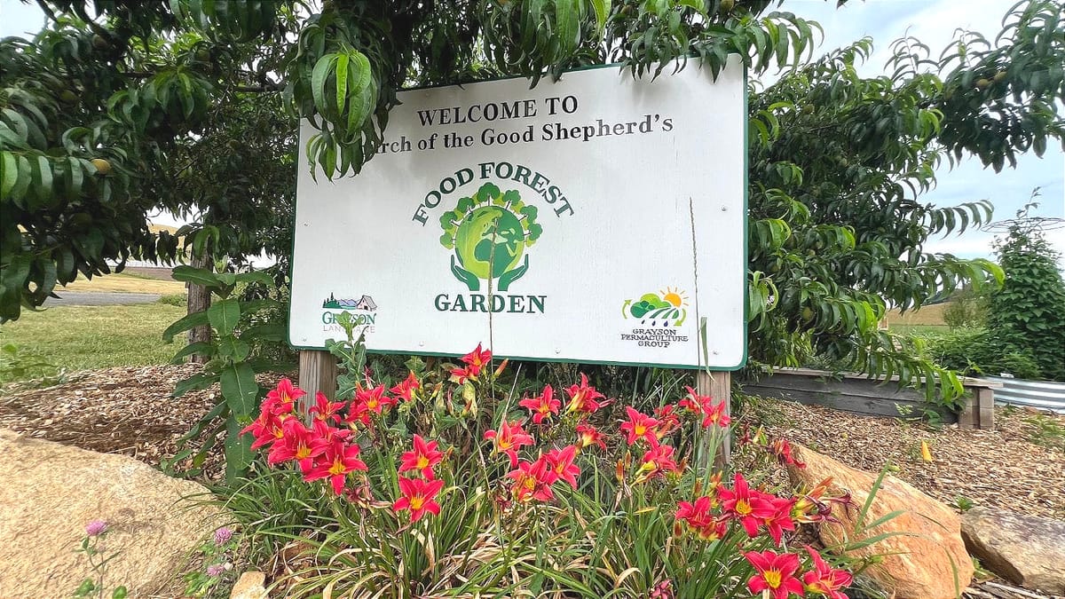 Permaculture Garden Workshop Series