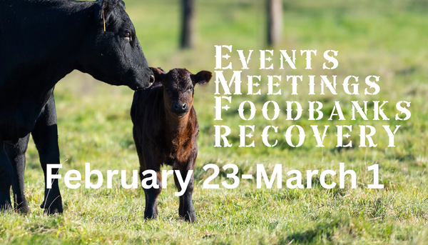 February 23 - March 1