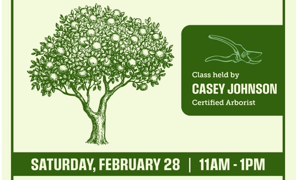 Fruit Tree Pruning Demo Saturday February 28